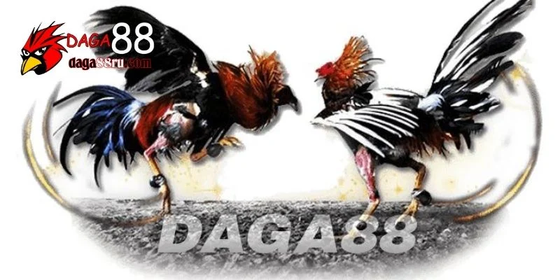 daga88